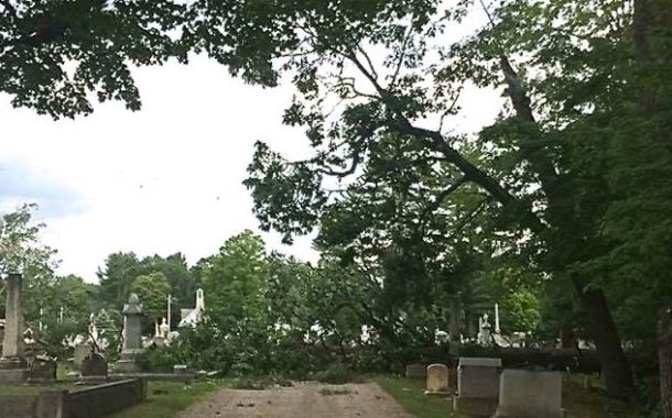 Trees And Wires Downed By Saturday Storm