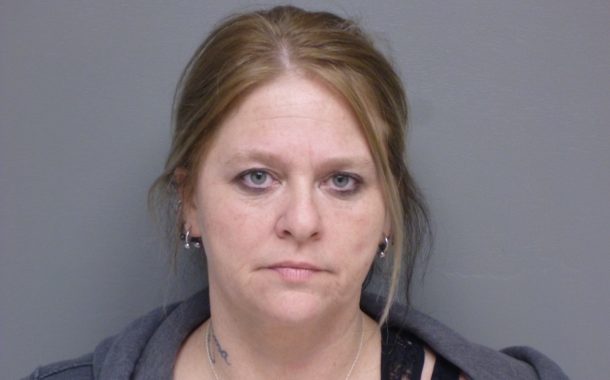 Woman Charged with Endangering the Welfare of a Minor